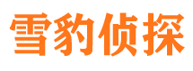 维扬侦探公司